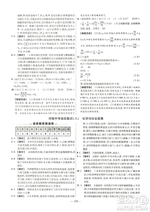 2019版人教版金考卷活頁題選九年級下化學RJ名師名題單元雙測卷答案