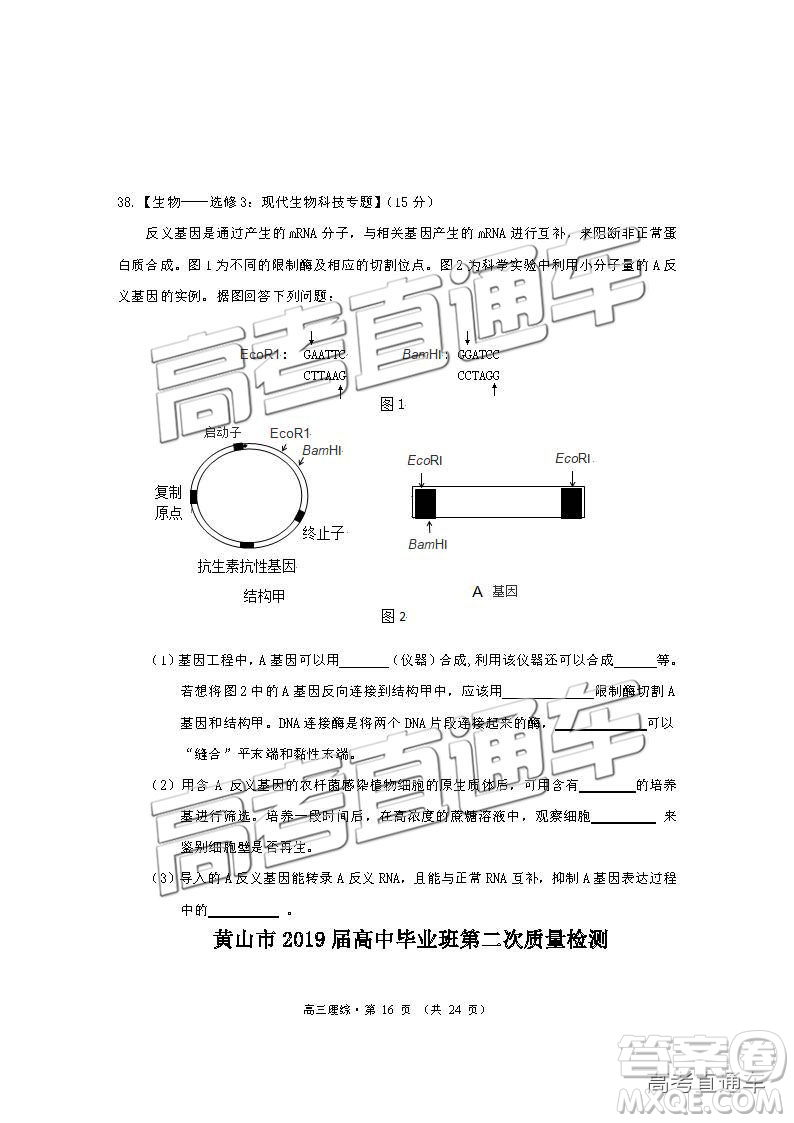 2019年黃山二模理綜試題及參考答案