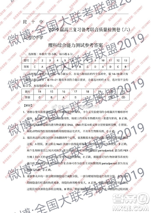 昆十中云天化2019屆高三復(fù)習(xí)備考聯(lián)合質(zhì)量檢測卷六文理綜試卷參考答案