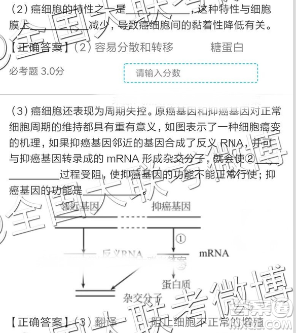 2019年全國普通高中高三四月大聯(lián)考文理綜參考答案