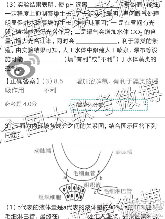 2019年全國普通高中高三四月大聯(lián)考文理綜參考答案