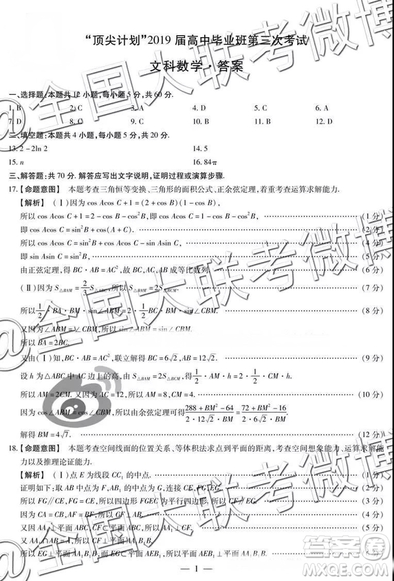 頂尖計(jì)劃2019屆高中畢業(yè)班第三次考試文理數(shù)參考答案