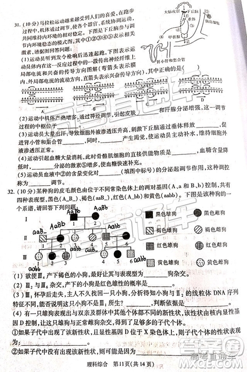 2019年寶雞三模文理綜試題及參考答案