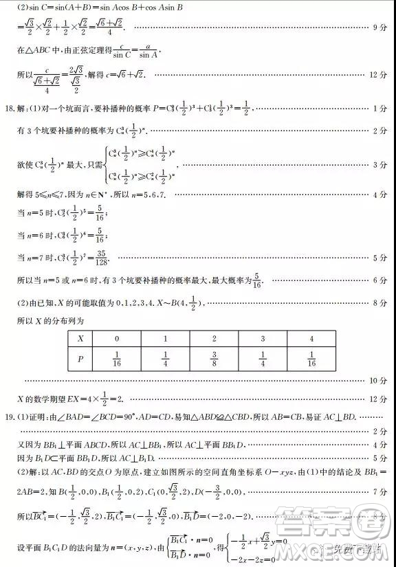 2019年河北省高三階段性調(diào)研考試?yán)頂?shù)試題及參考答案