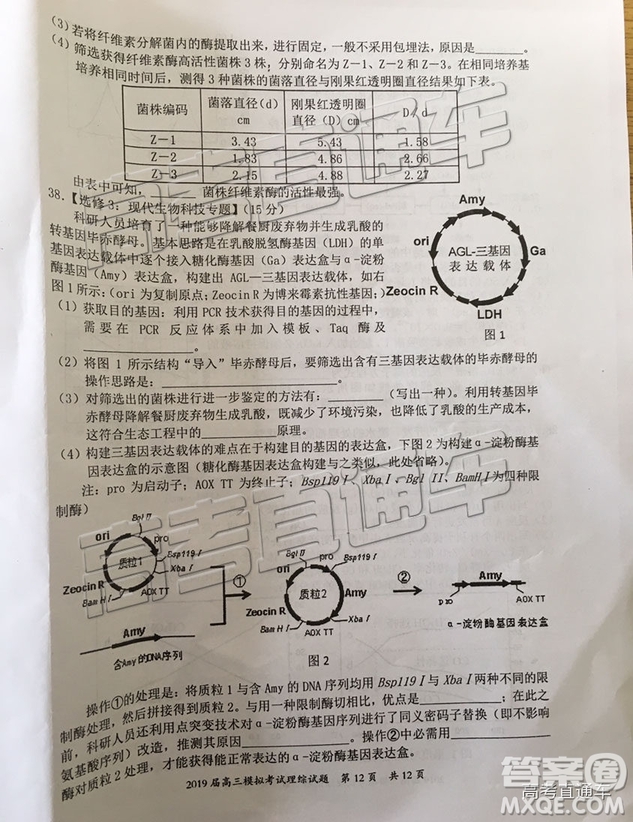 2019年惠州一模理綜試題及參考答案