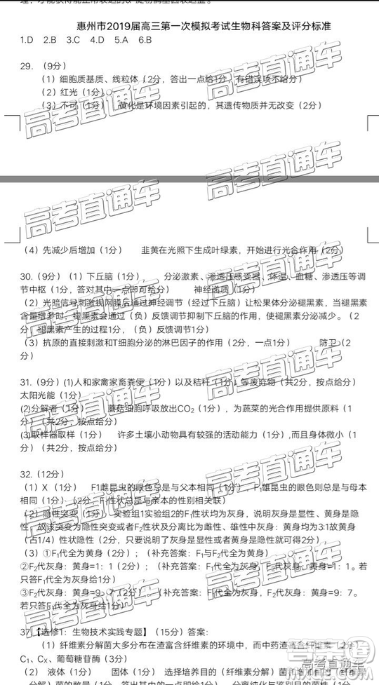 2019年惠州一模理綜試題及參考答案