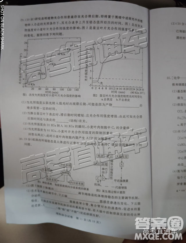 2019年湛江二模文理綜試題及參考答案