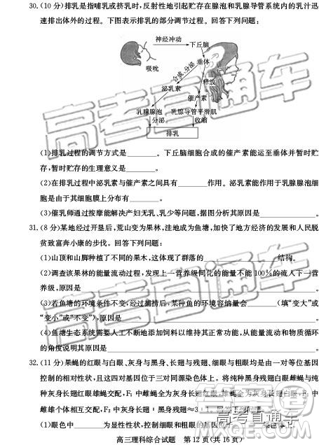 2019年德州二模文理綜試題及參考答案