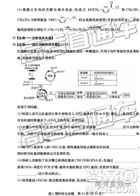 2019年德州二模文理綜試題及參考答案