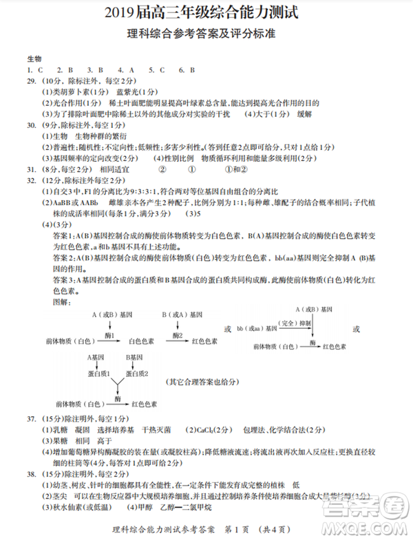 2019年廣西欽州三模文理綜試題及參考答案