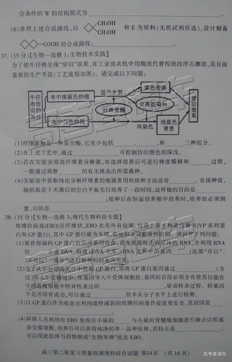 2019年泰安二模文理綜試題及參考答案