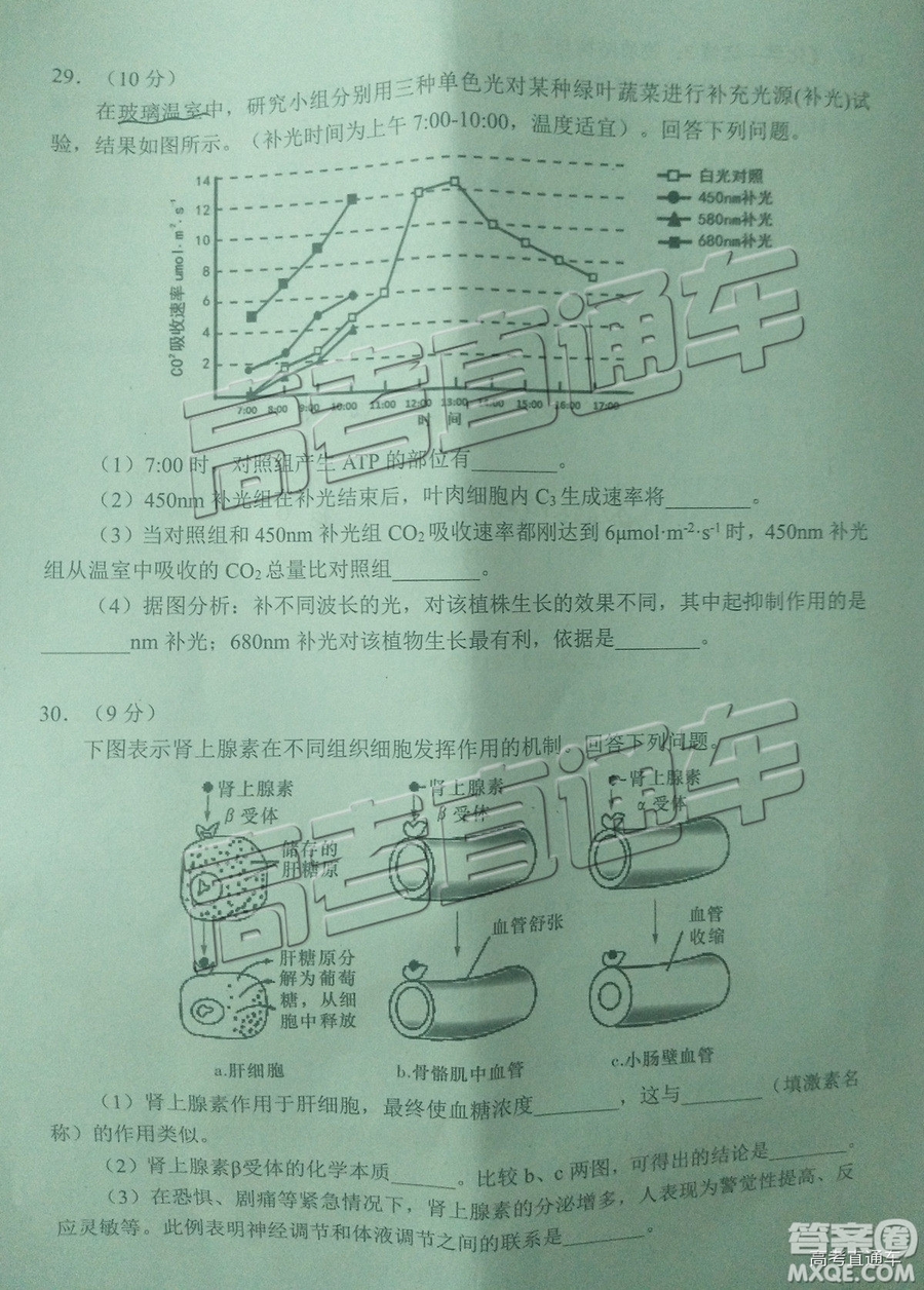 2019年宜賓三診文理綜試題及參考答案