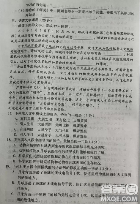 2019屆安徽省毛坦廠中學(xué)高三校區(qū)4月聯(lián)考語文試題及答案