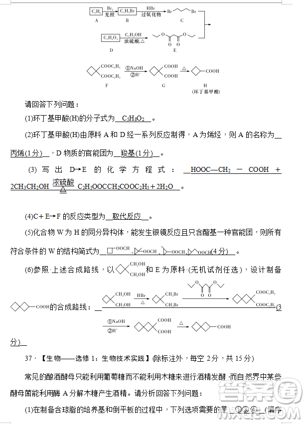 2019年炎德大聯(lián)考湖南師大附中高三月考試卷七文理綜試題及答案