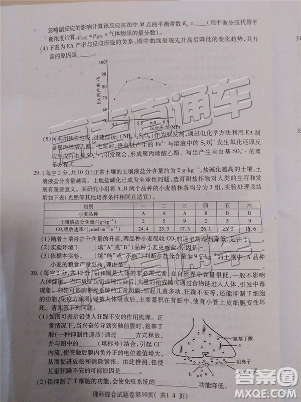 2019年淮北二模文理綜試題及參考答案