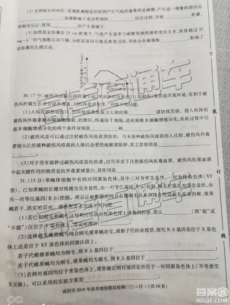 2019年高三咸陽三模文理綜試題及參考答案