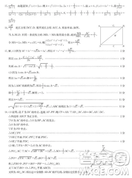 2019年長沙市高三第二次模擬考試理數(shù)試卷及答案