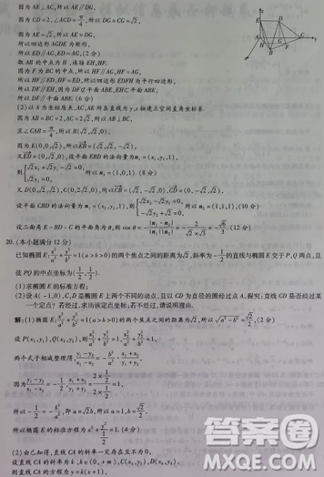 2019年普通高等學(xué)校招生全國(guó)統(tǒng)一考試高考仿真模擬信息卷押題卷十一理數(shù)試題及答案