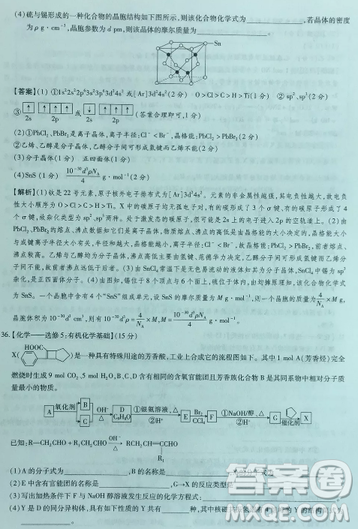 2019年普通高等學(xué)校招生全國統(tǒng)一考試高考仿真模擬信息卷押題卷十一理綜試題及答案