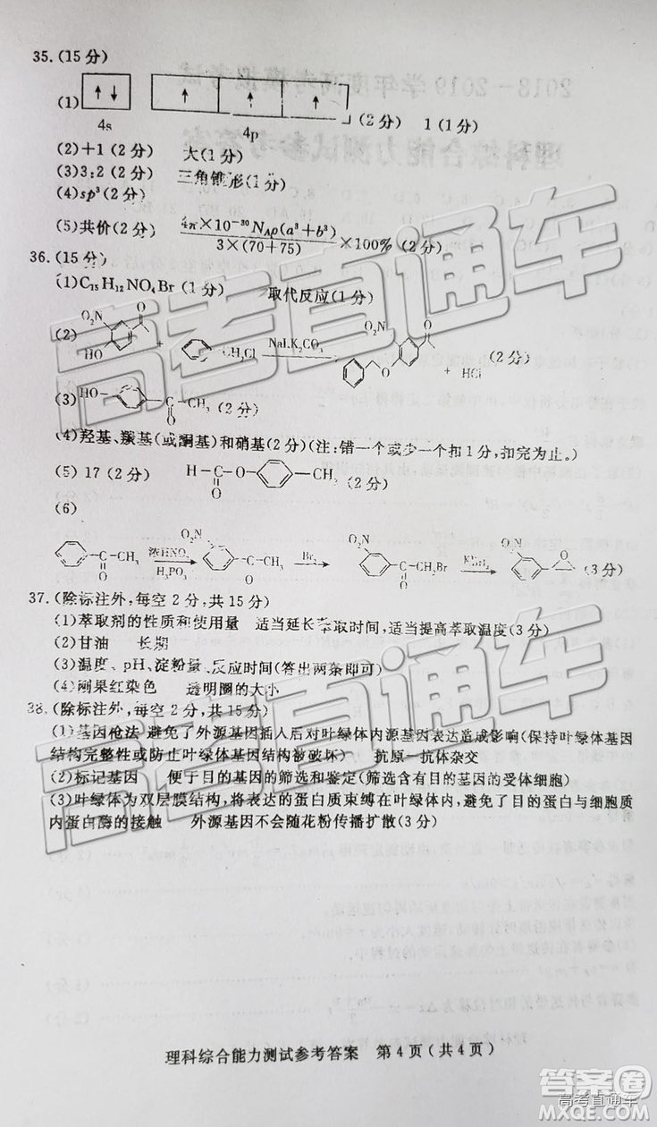 2019年濟寧二模文理綜參考答案