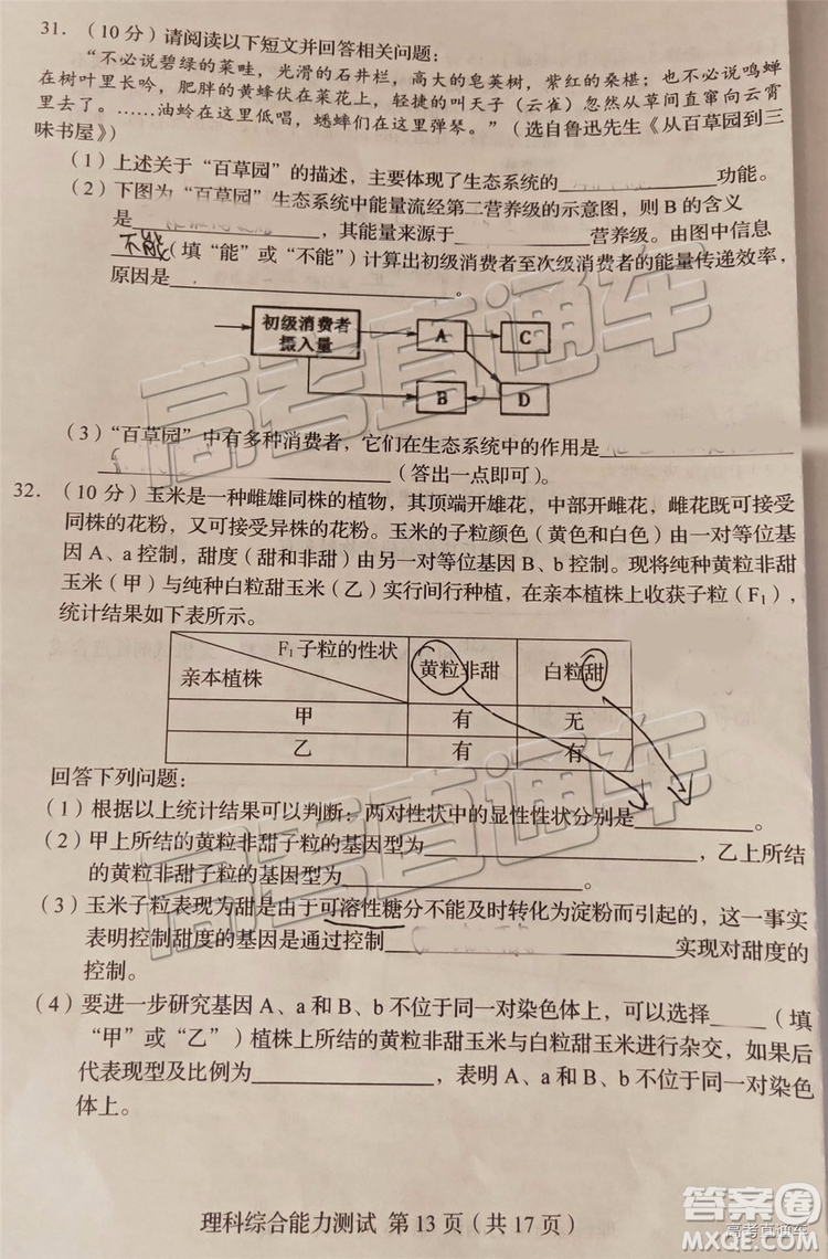 2019年長春四模文理綜試題及參考答案