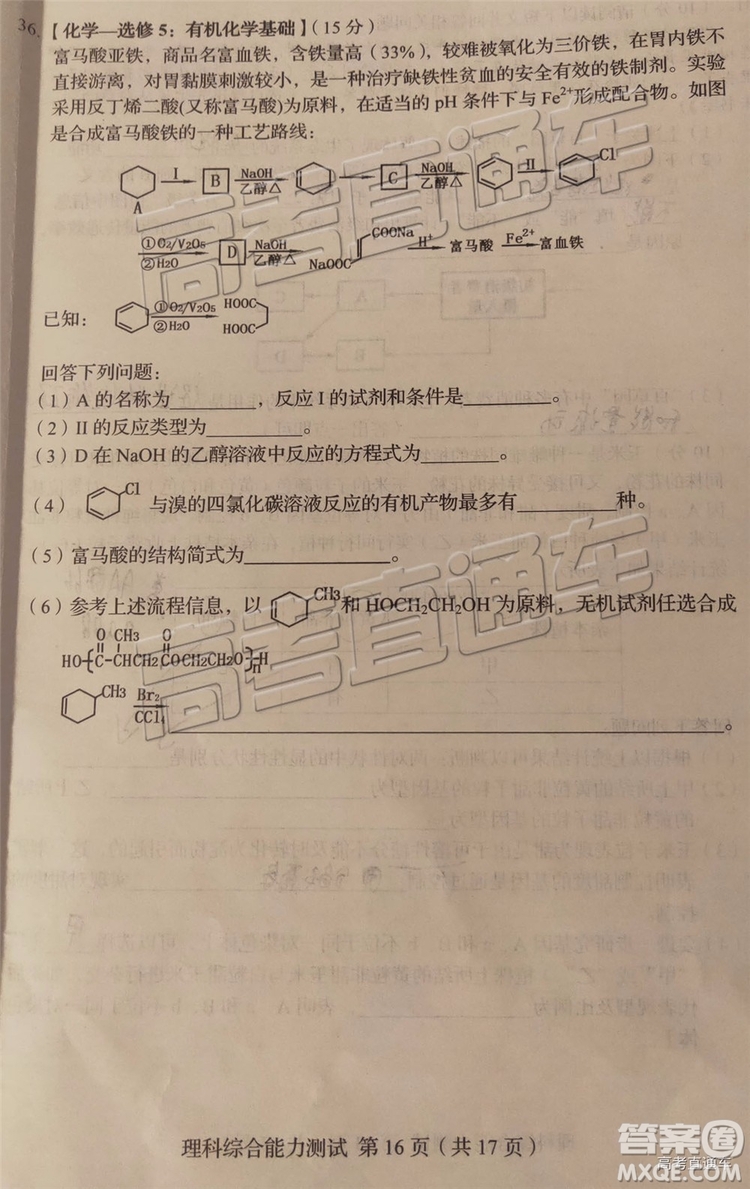 2019年長春四模文理綜試題及參考答案