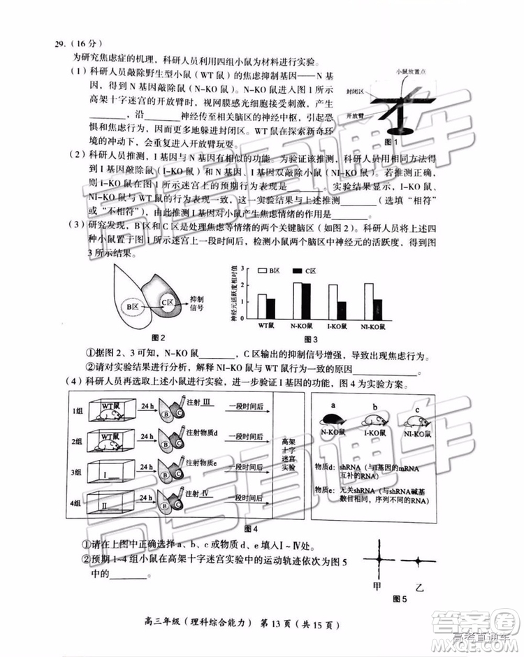 102019年北京海淀區(qū)二模文理綜試題及參考答案