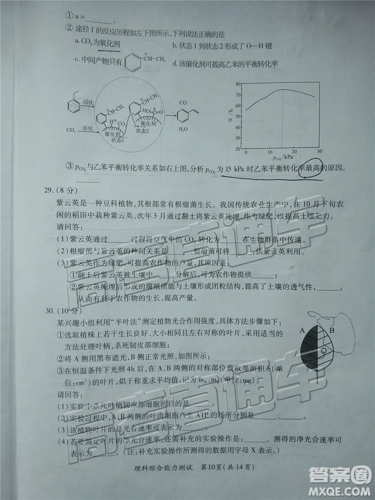 2019年廈門二檢文理綜試題及參考答案