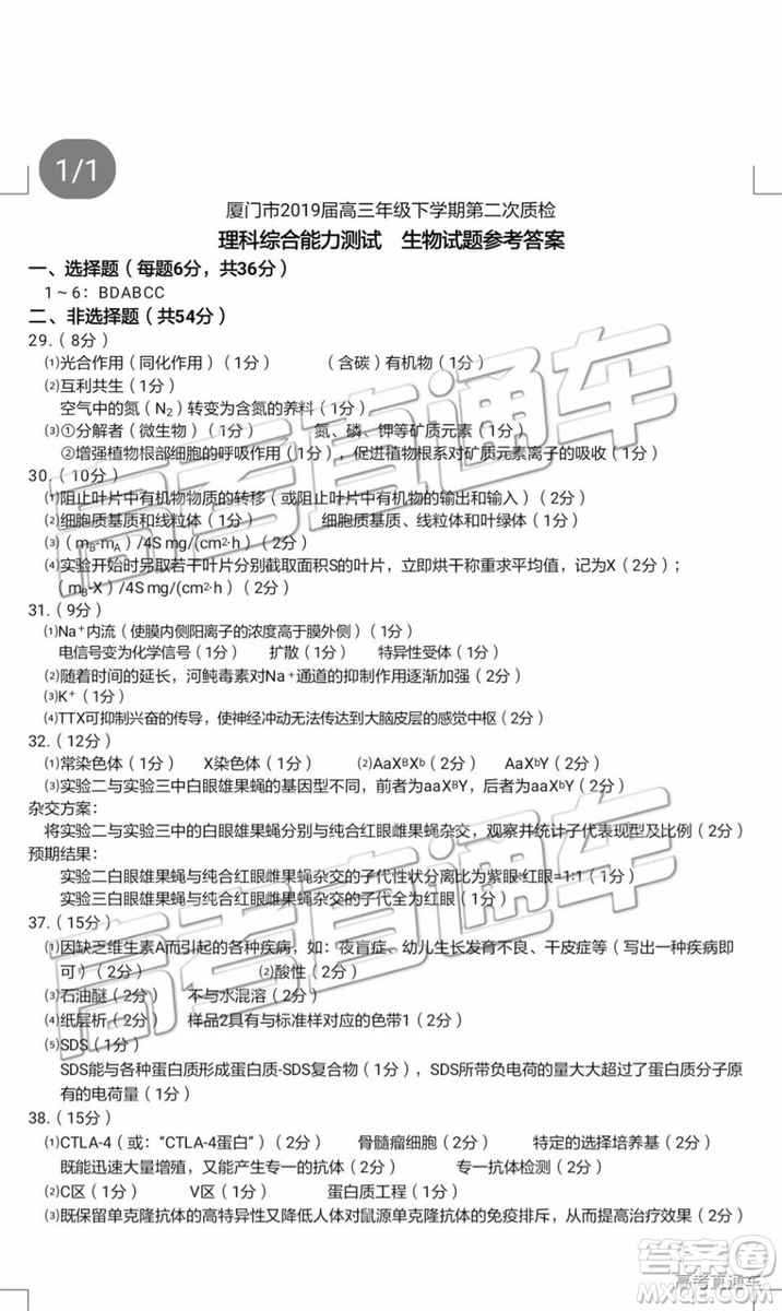 2019年廈門二檢文理綜試題及參考答案