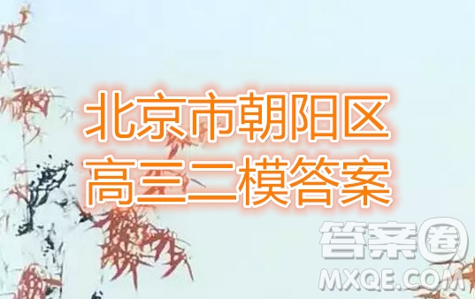 2019年5月北京市朝陽(yáng)區(qū)高三二模語(yǔ)文試卷及答案