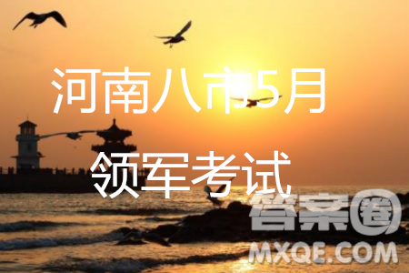 河南省八市重點(diǎn)高中聯(lián)盟2019屆高三5月領(lǐng)軍考試語文試題及答案