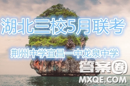 湖北省荊州中學(xué)宜昌一中龍泉中學(xué)2019屆高三5月聯(lián)考文理數(shù)參考答案