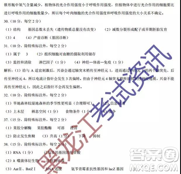 2019年哈師大附中三模文理綜參考答案