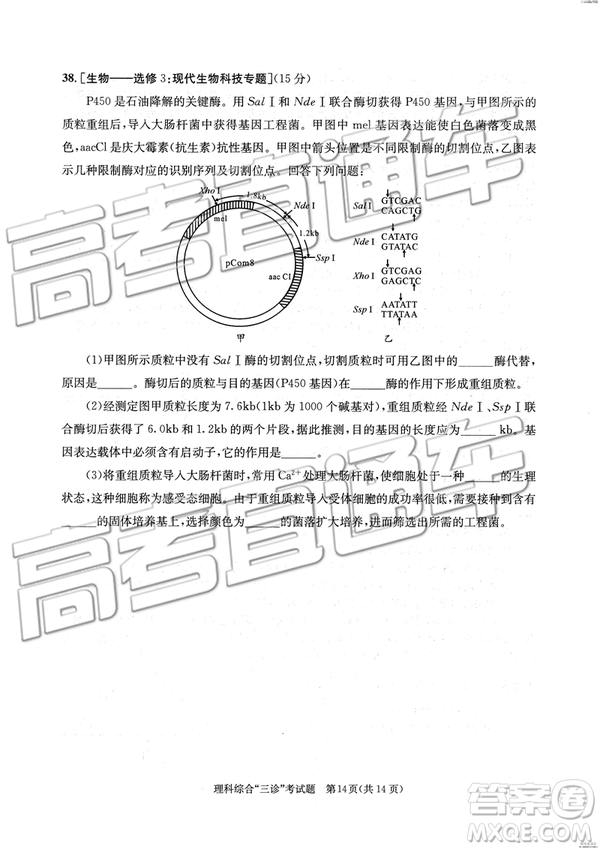 2019年成都三診文理綜參考答案