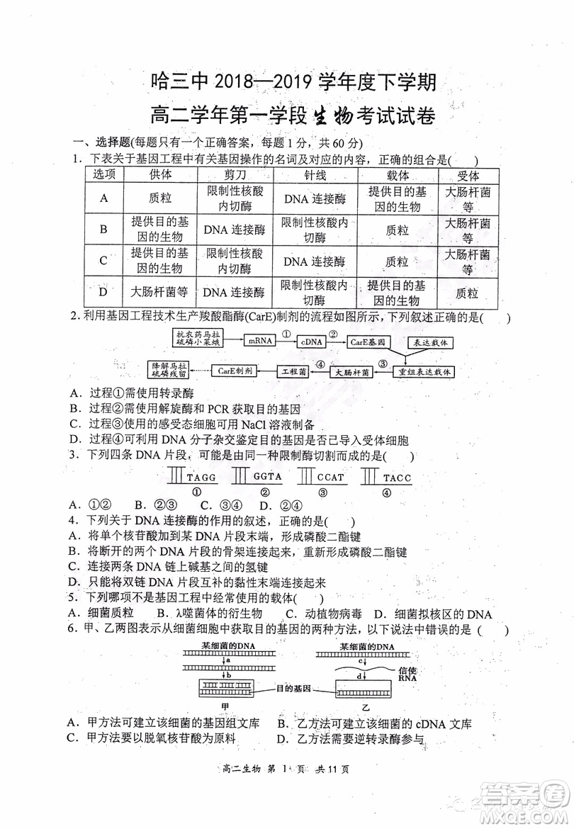 哈三中2018-2019學(xué)年度高二下學(xué)期第一學(xué)段考試?yán)砭C試卷及答案