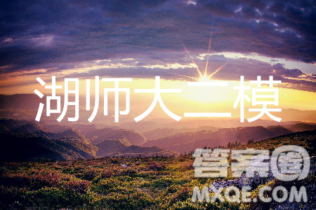 2019年炎德英才大聯(lián)考湖南師大附中高考模擬卷二英語(yǔ)試卷及答案