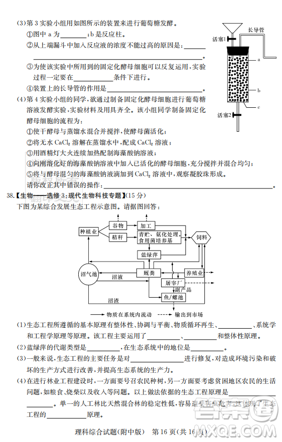 2019年炎德英才大聯(lián)考湖南師大附中高考模擬卷二文理綜試卷及答案