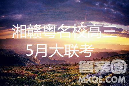 2019屆湘贛粵名校高三5月大聯(lián)考理數(shù)試題及答案