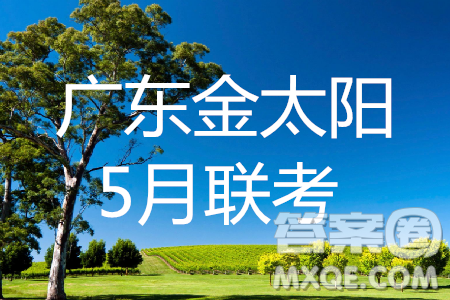 2019年廣東金太陽5月聯(lián)考文數(shù)試題及參考答案