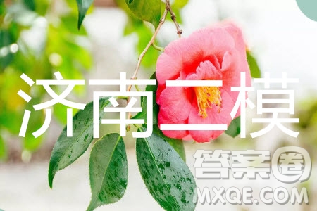 2019年濟(jì)南二模理科數(shù)學(xué)試題及參考答案