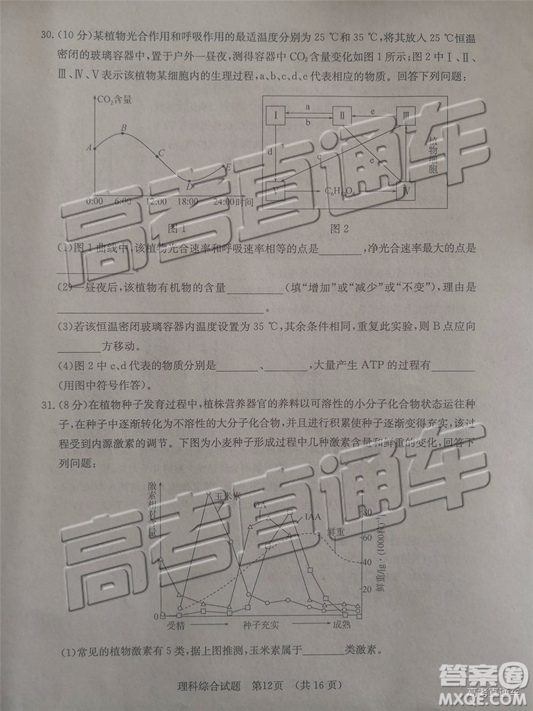 2019年濟南二模文理綜試題及參考答案