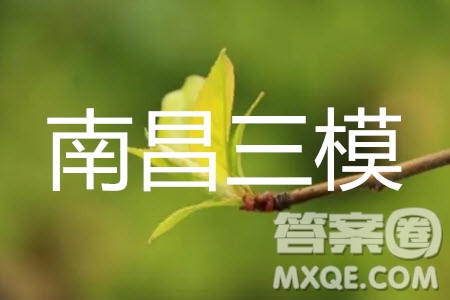 2019年南昌三模文科數(shù)學(xué)參考答案