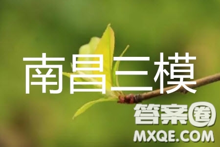 2019年南昌三模理科數(shù)學(xué)試題及參考答案