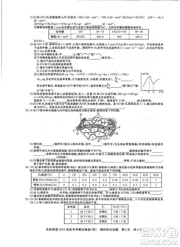 2019年河南名校聯(lián)盟高考沖刺壓軸卷四文理綜試題答案