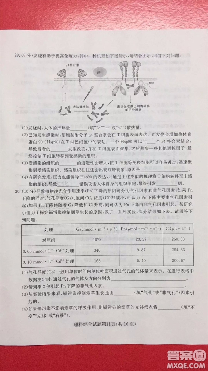 2019年普通高等學(xué)校招生全國統(tǒng)一考試考前演練六文理綜試題及答案