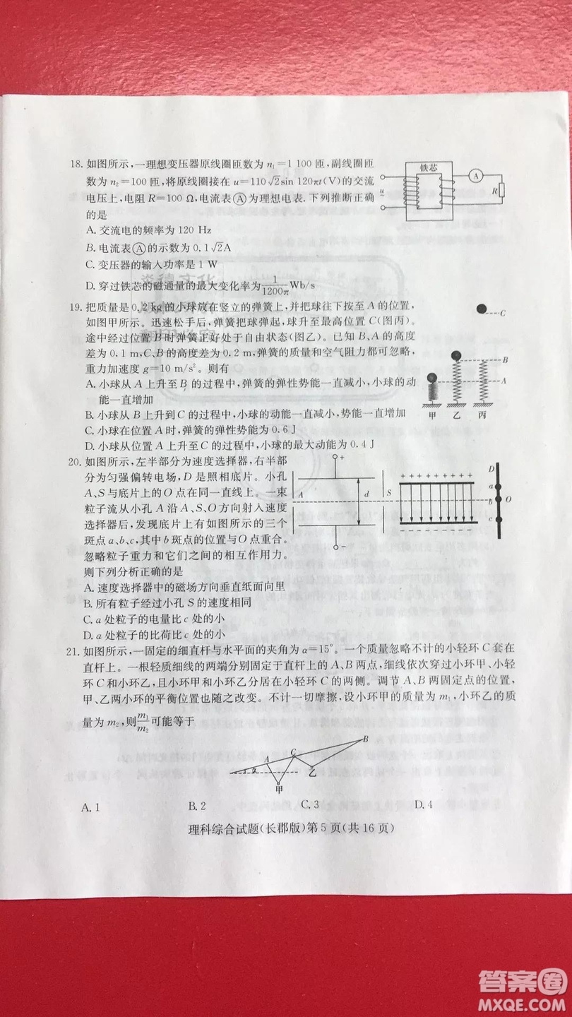 炎德英才大聯(lián)考長郡中學(xué)2019屆高考模擬卷一理科綜合試題及答案