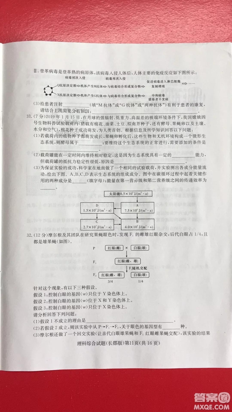 炎德英才大聯(lián)考長郡中學(xué)2019屆高考模擬卷一理科綜合試題及答案