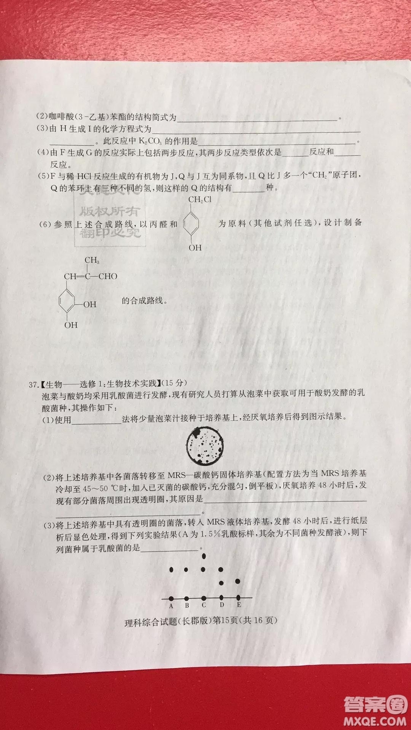 炎德英才大聯(lián)考長郡中學(xué)2019屆高考模擬卷一理科綜合試題及答案