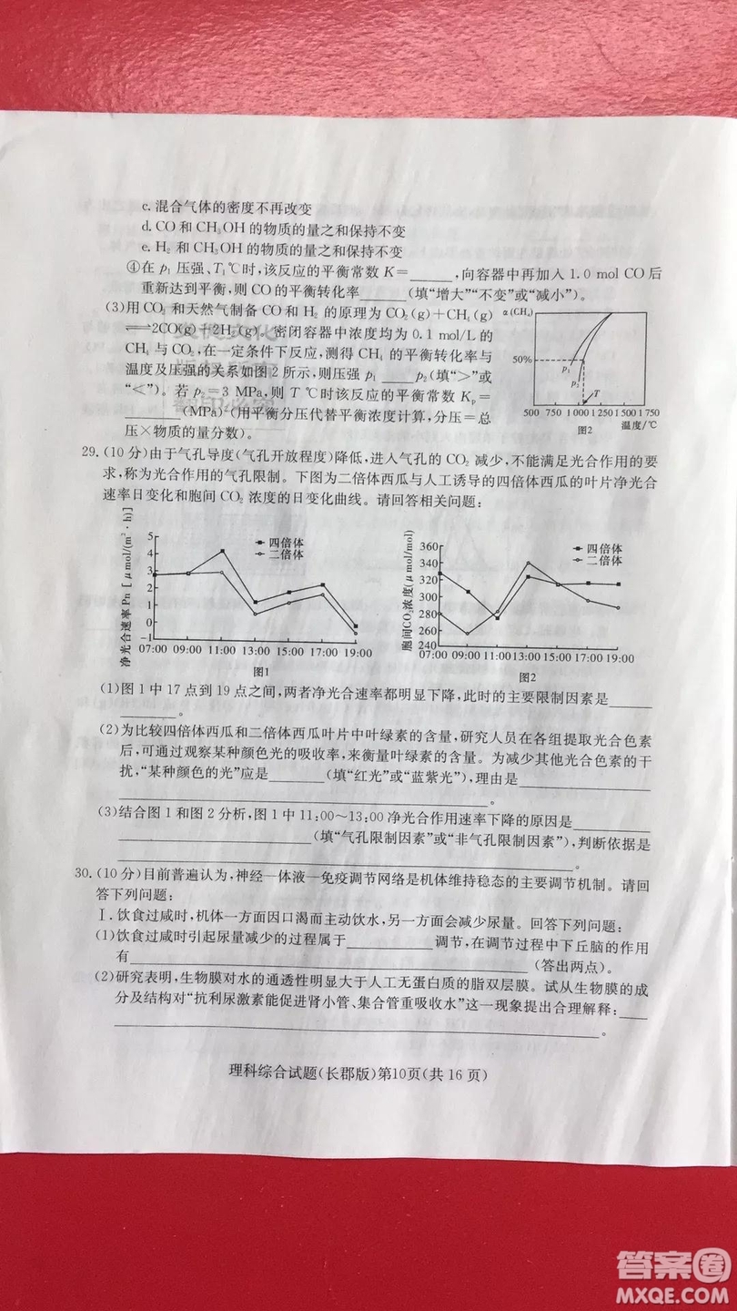 炎德英才大聯(lián)考長郡中學(xué)2019屆高考模擬卷一理科綜合試題及答案