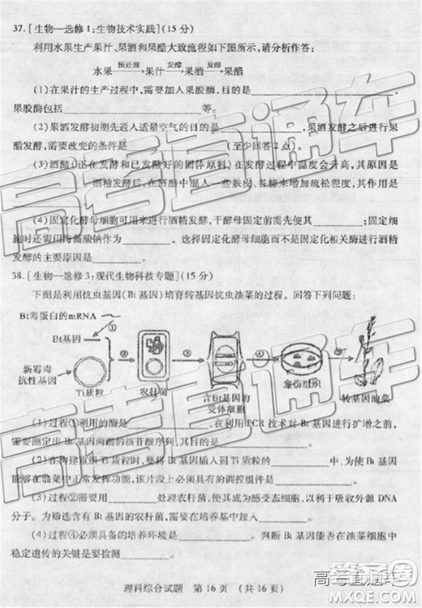 2019年棗莊四模理綜試題及答案